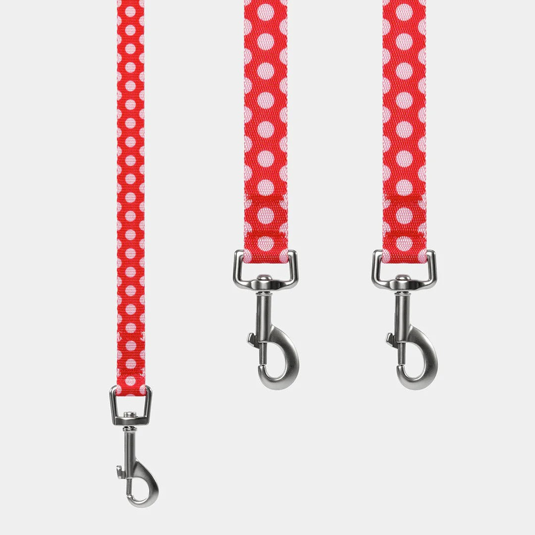 Chroma Pet Harness & Leash Set (Red)