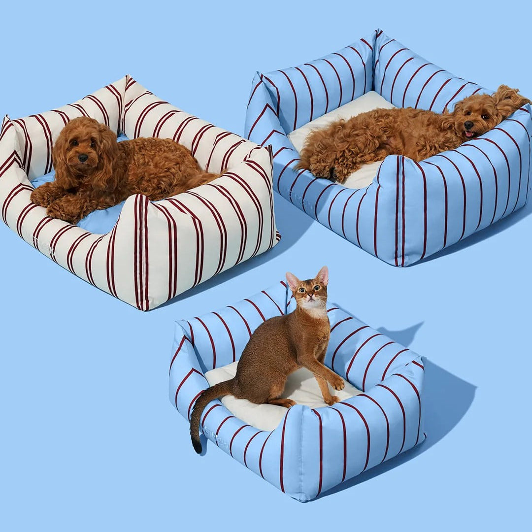 Mist and Merlot Pet Sofa - Azure & Stripes