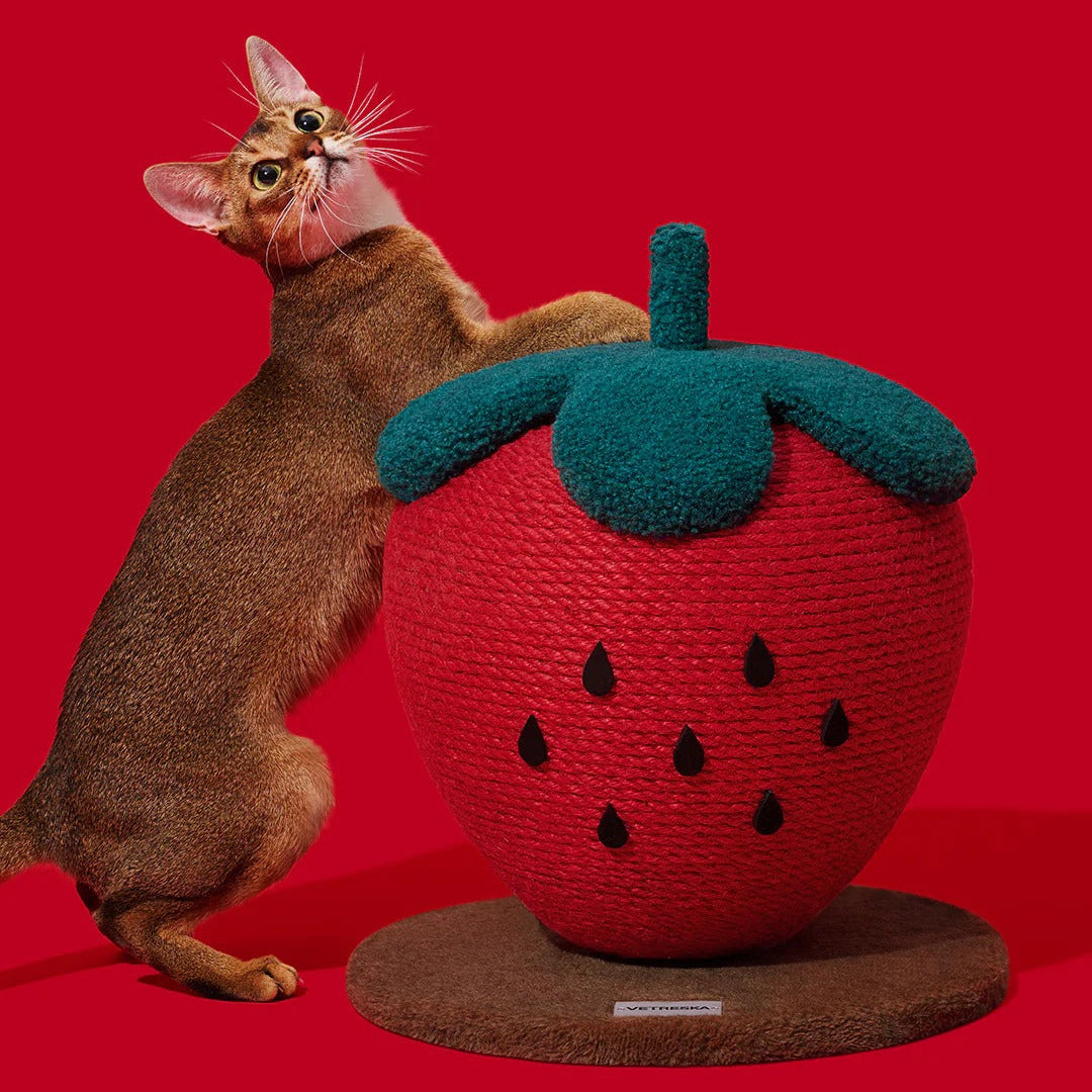 Strawberry Cat Scratching Ball