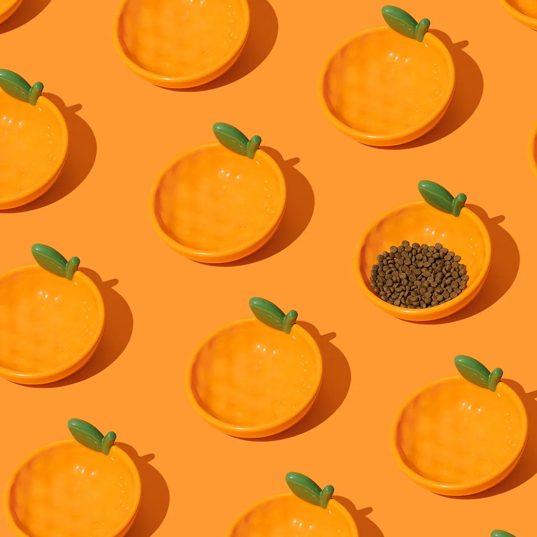 Tangerine Ceramic Pet Bowl