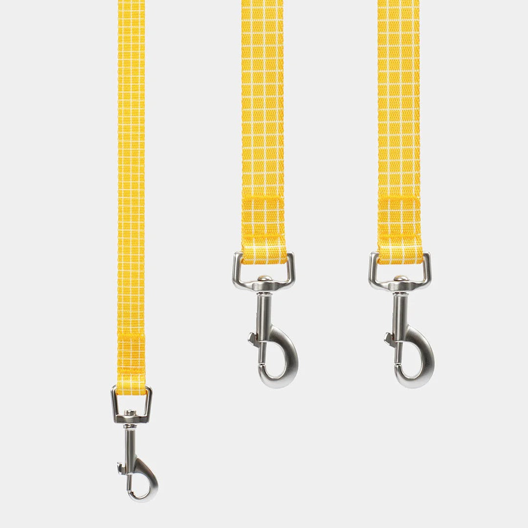 Chroma Pet Harness & Leash Set (Yellow)