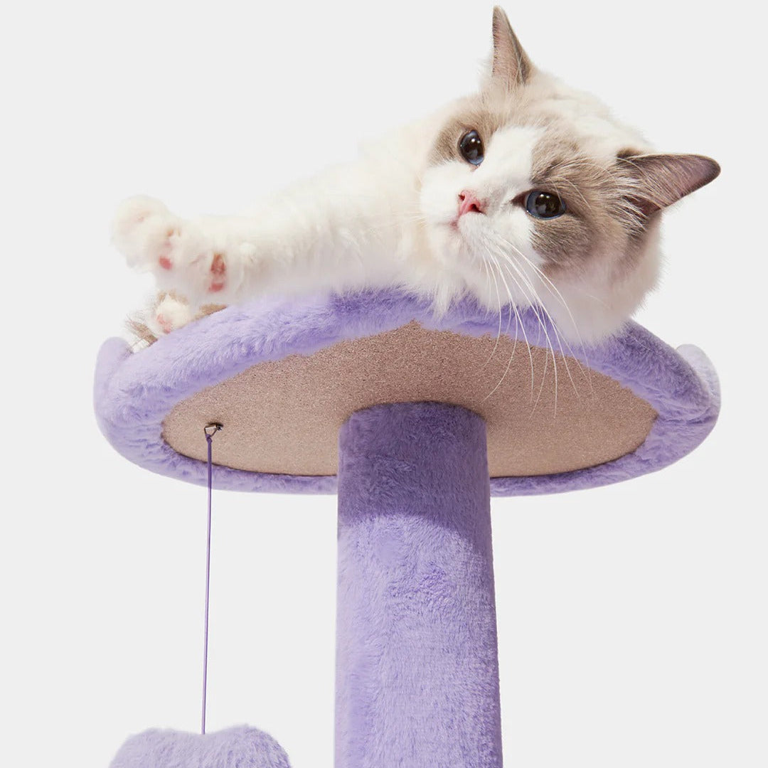 Heartpurrple Cat Climber (4 Platform)