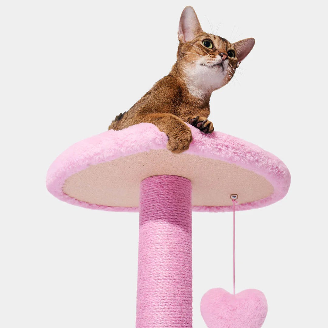 Heartpurrink Cat Climber (4 Platform)