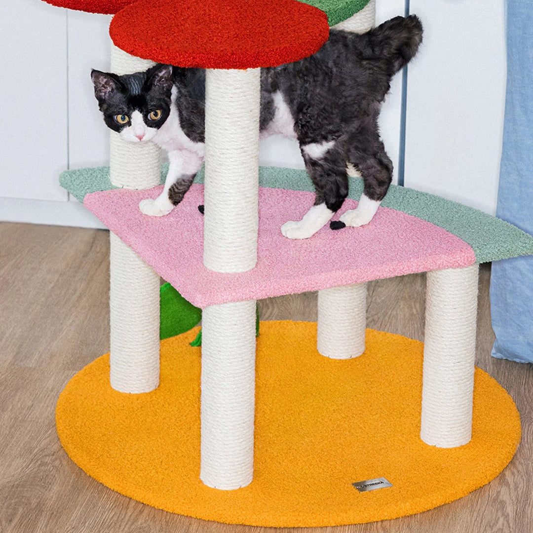 Fruit Frenzy Cat Climber