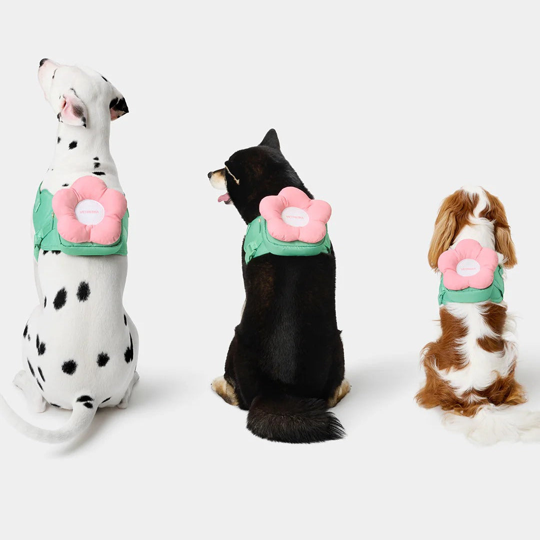 Flora Backpack & Harness 3 in 1 Set