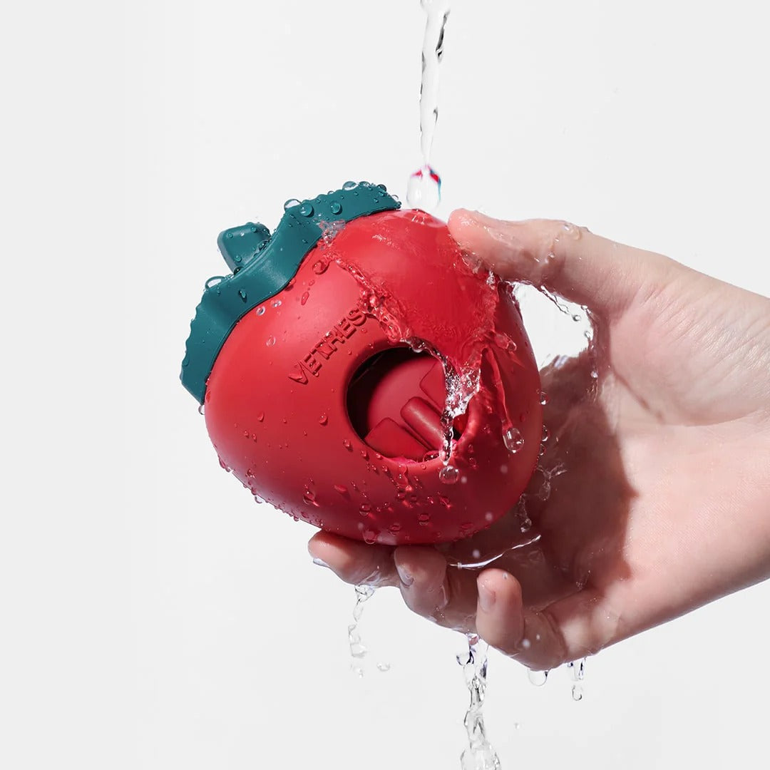 Strawberry Pet Treat Dispensing Toy
