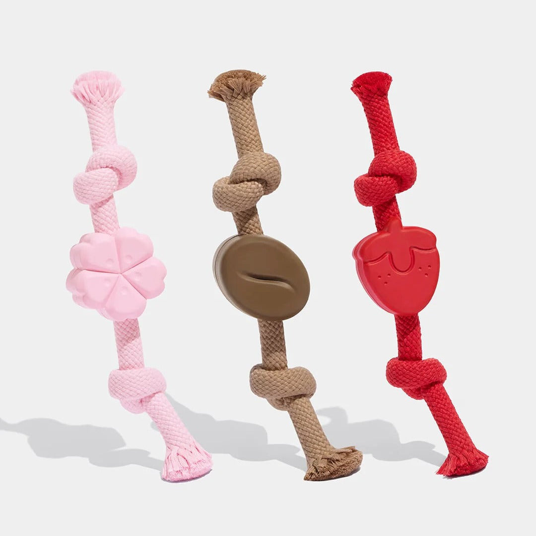 Playful Charm Knot Rope Toy