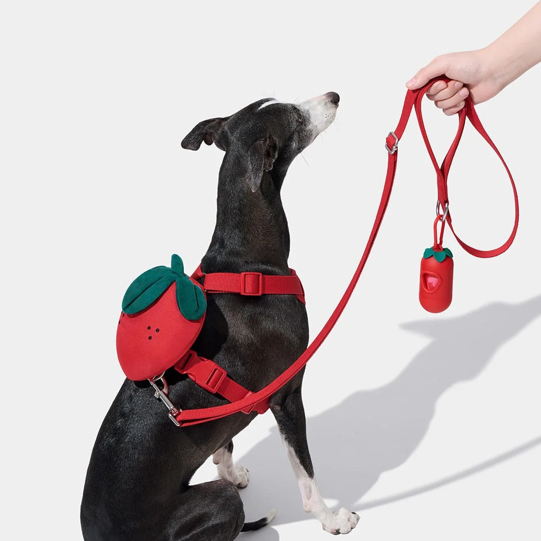 Strawberry Pet Backpack Harness & Leash
