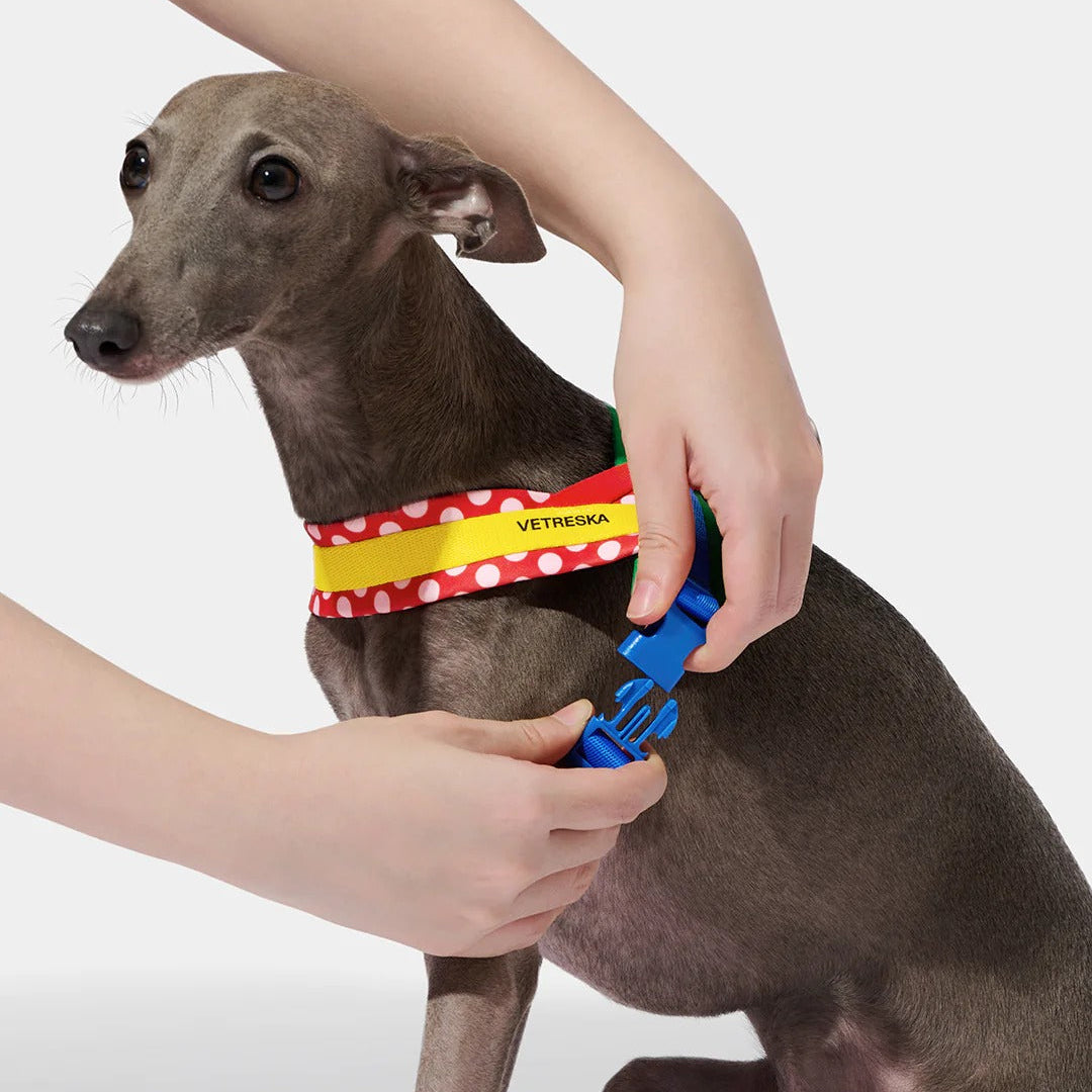Chroma Pet Harness & Leash Set (Red)