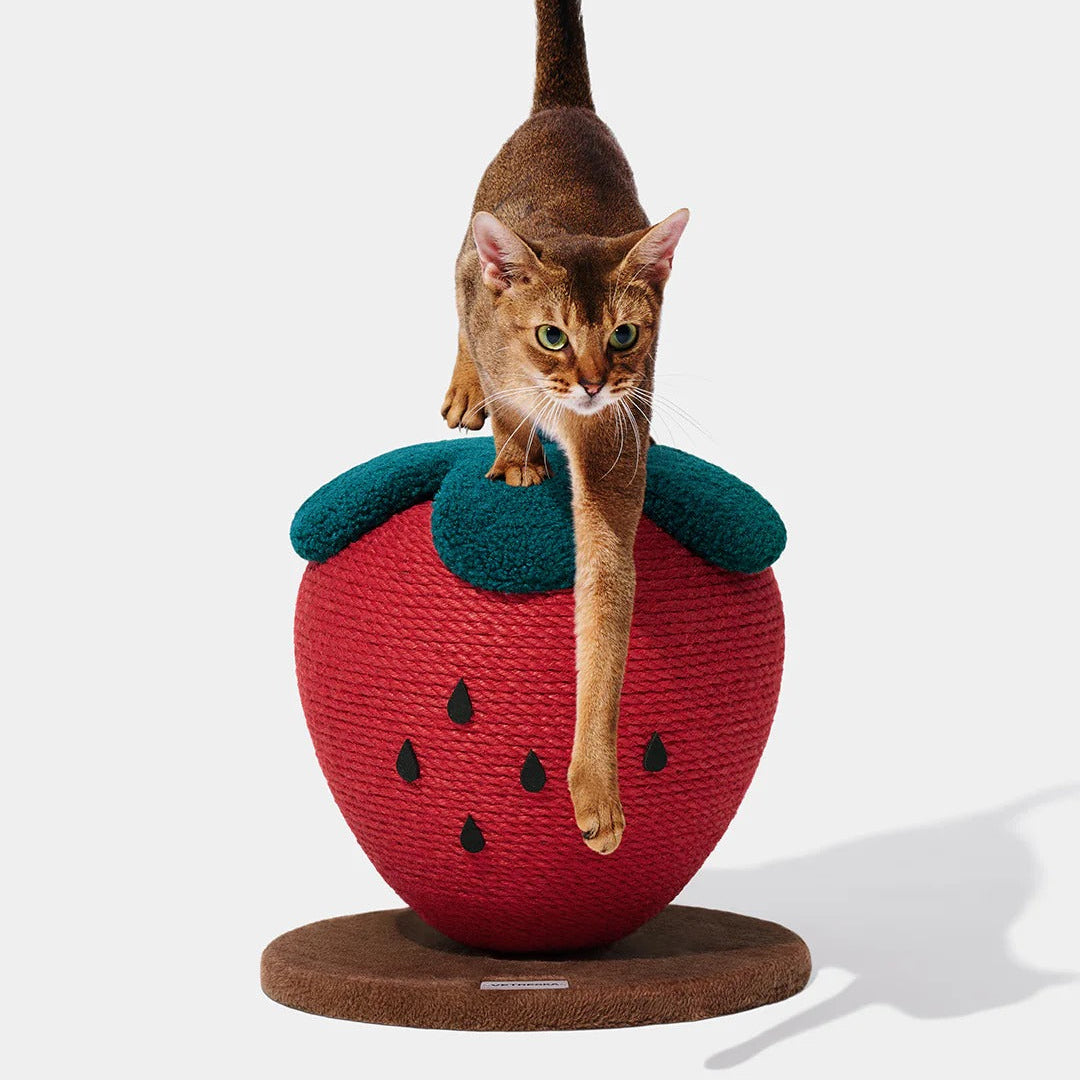 Strawberry Cat Scratching Ball