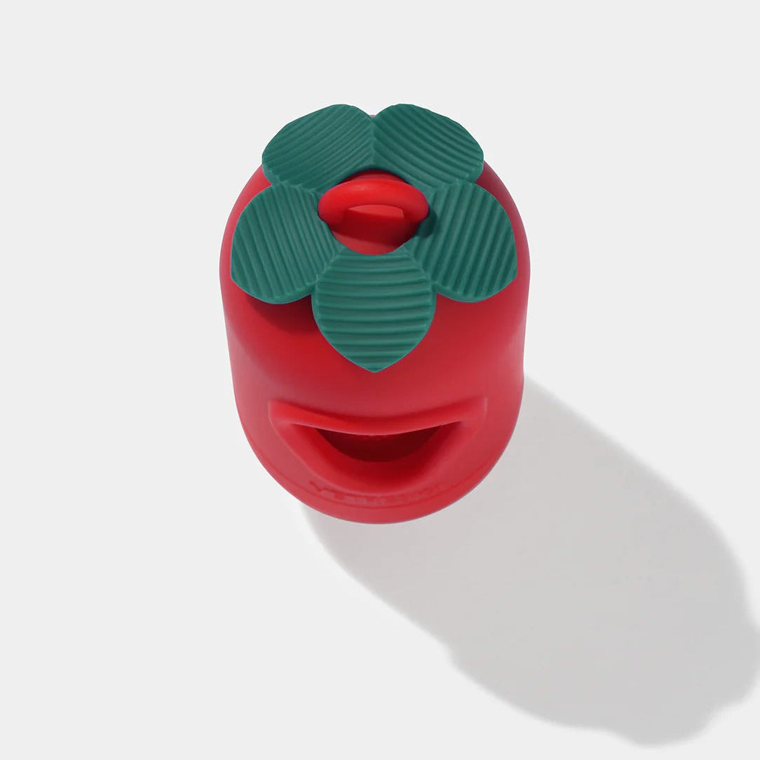Strawberry Poop Bags & Dispenser