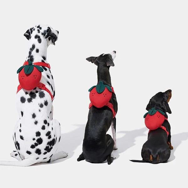 Strawberry Pet Backpack Harness & Leash