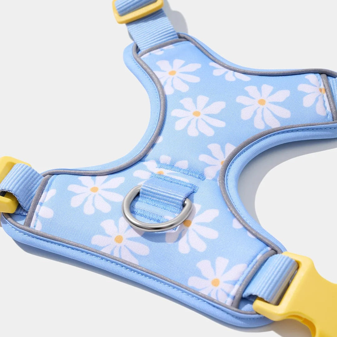 Daisy Pet Harness & Leash Set