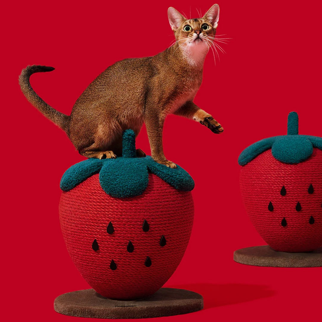 Strawberry Cat Scratching Ball