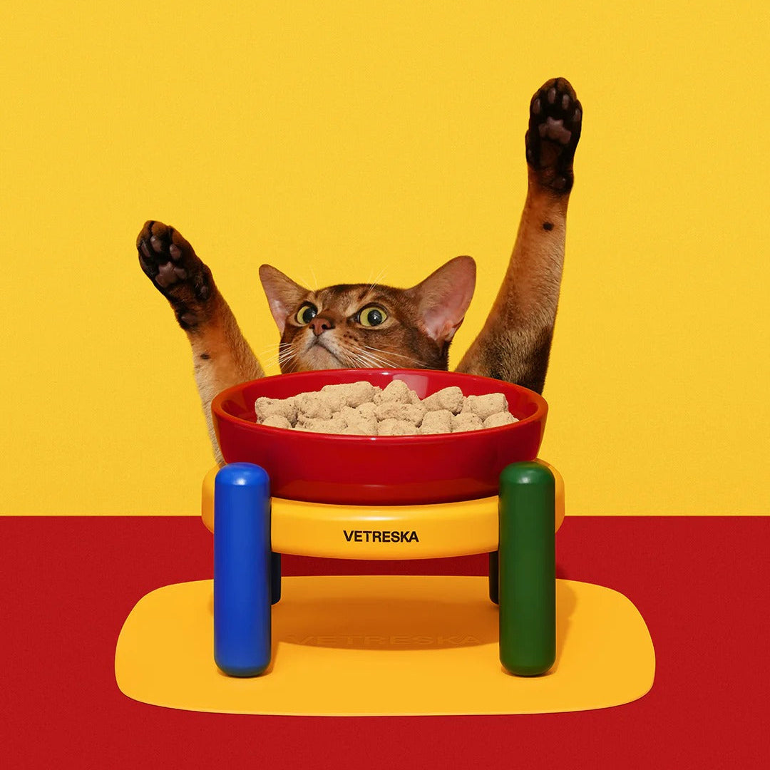 Chroma Pet Bowl & Mat Set