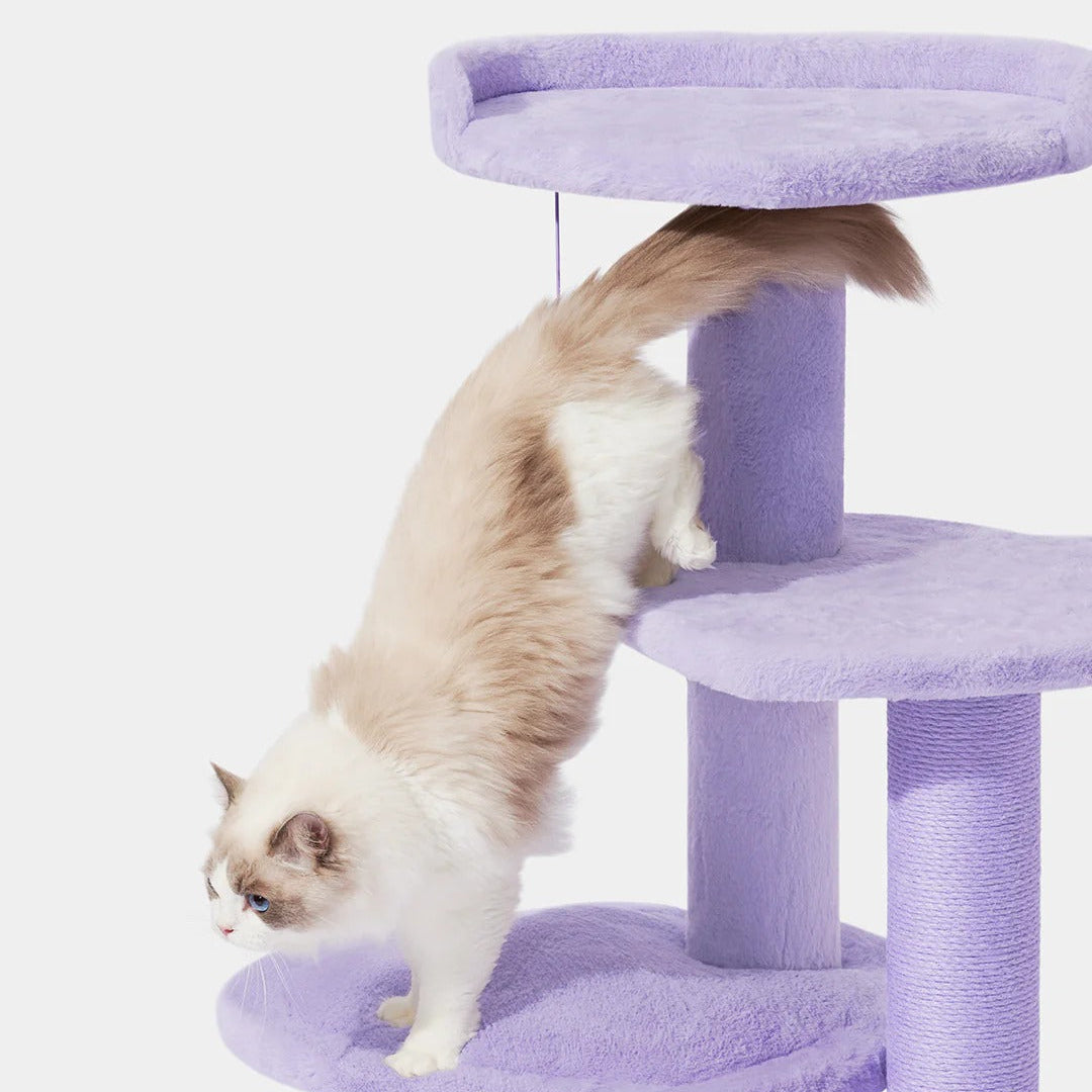 Heartpurrple Cat Climber (4 Platform)
