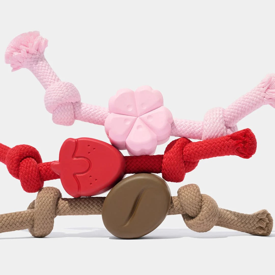 Playful Charm Knot Rope Toy