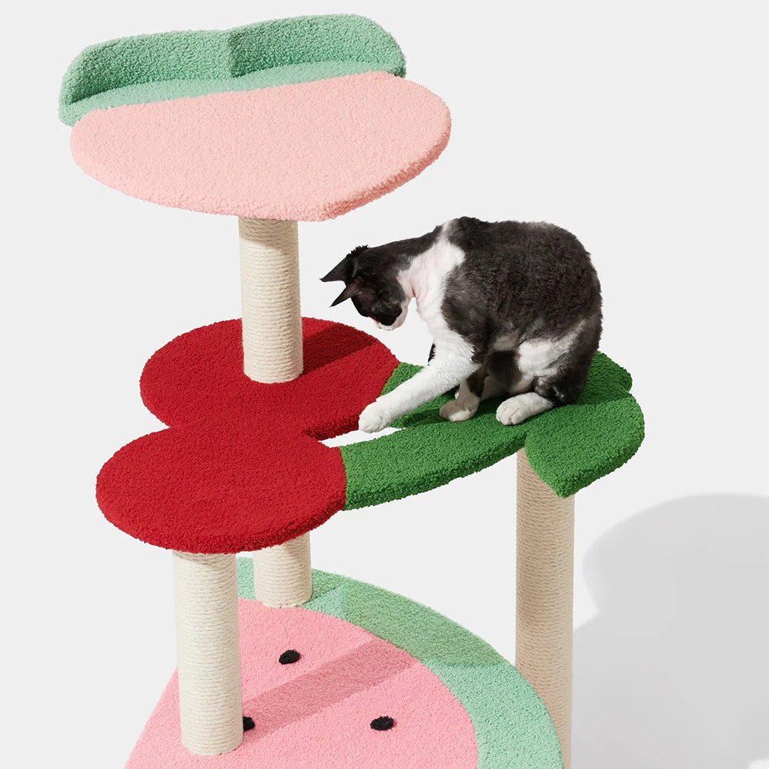 Fruit Frenzy Cat Climber