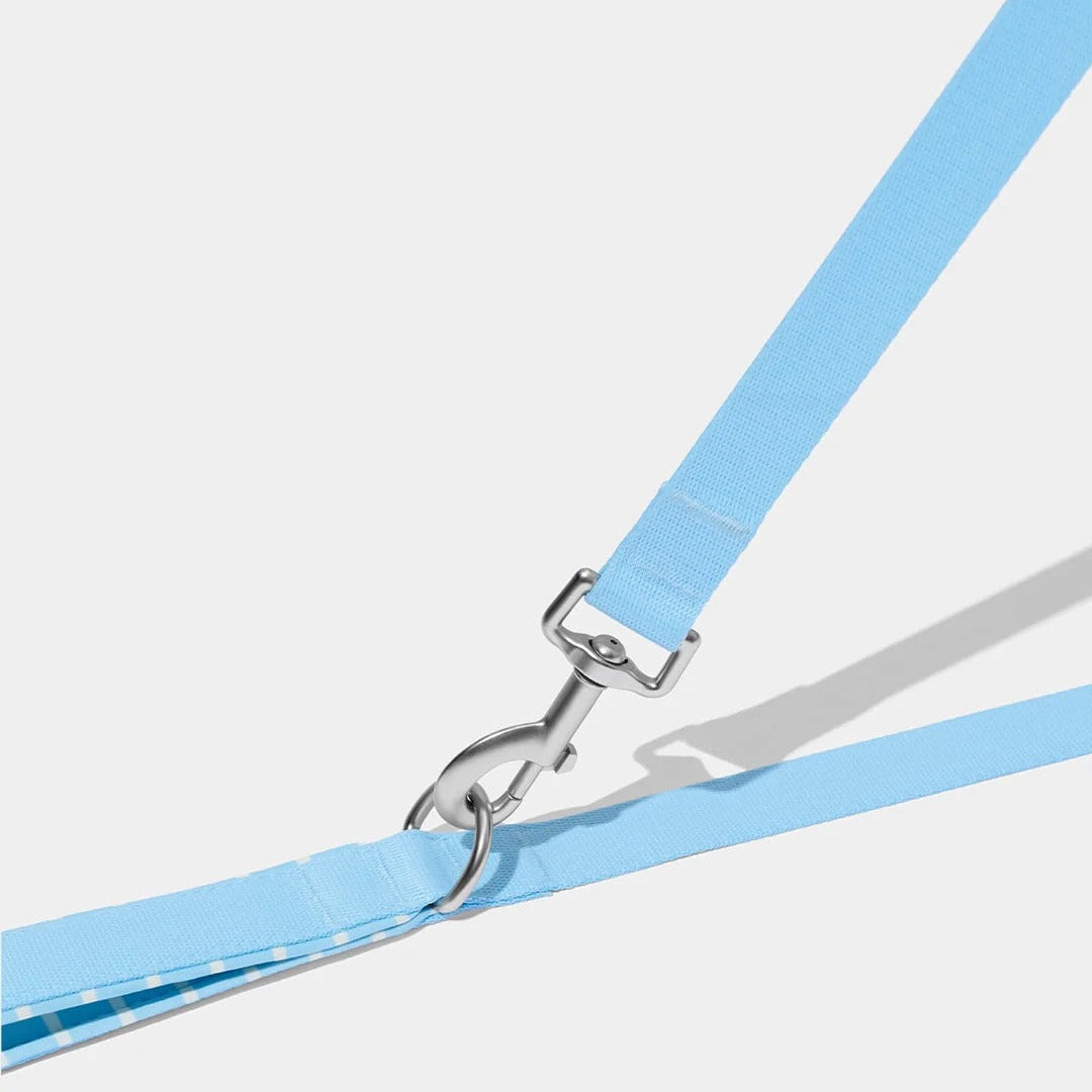 Mist and Merlot Pet Harness & Leash Set