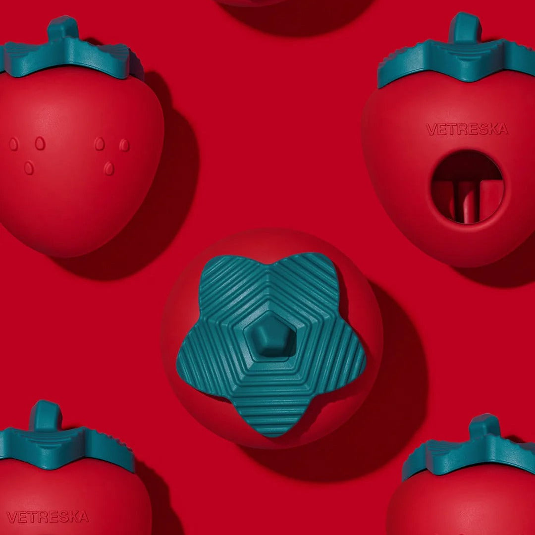 Strawberry Pet Treat Dispensing Toy