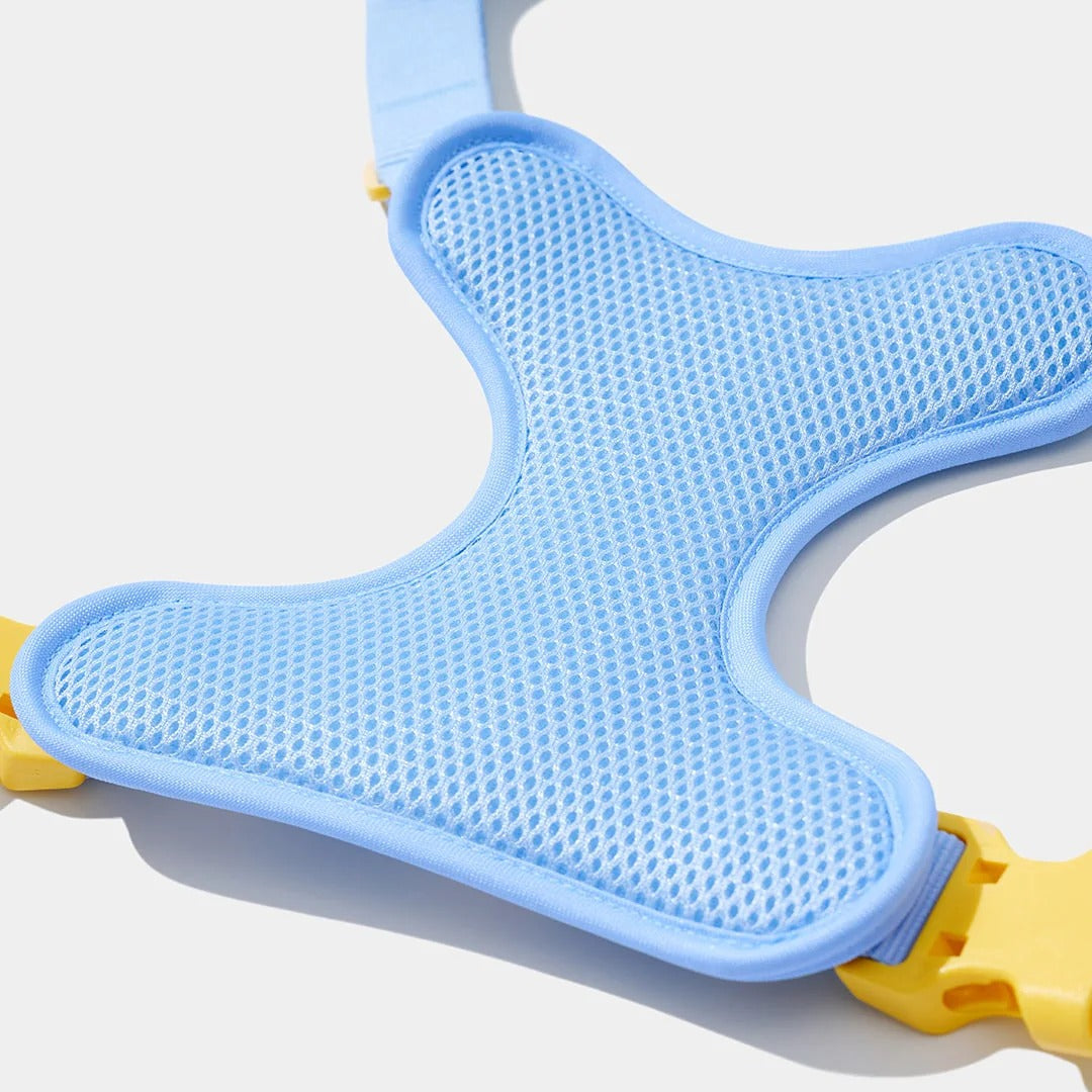 Daisy Pet Harness & Leash Set
