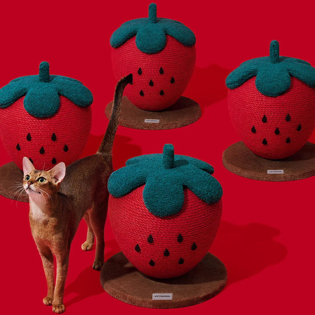 Strawberry Cat Scratching Ball