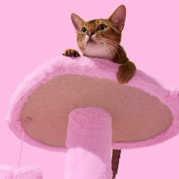 Heartpurrink Cat Climber (4 Platform)
