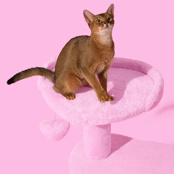 Heartpurrink Cat Climber (4 Platform)