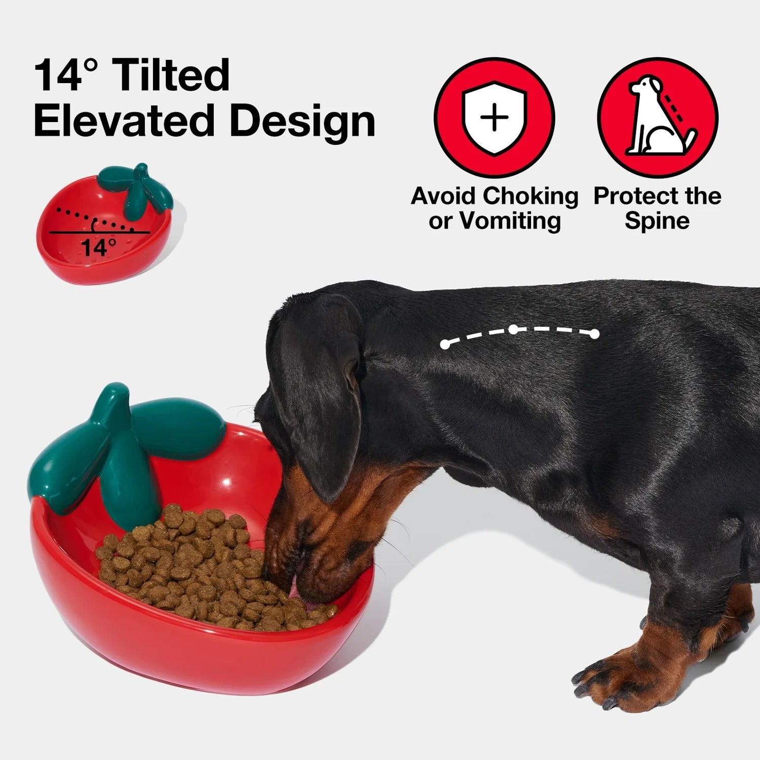 Strawberry Ceramic Pet Bowl