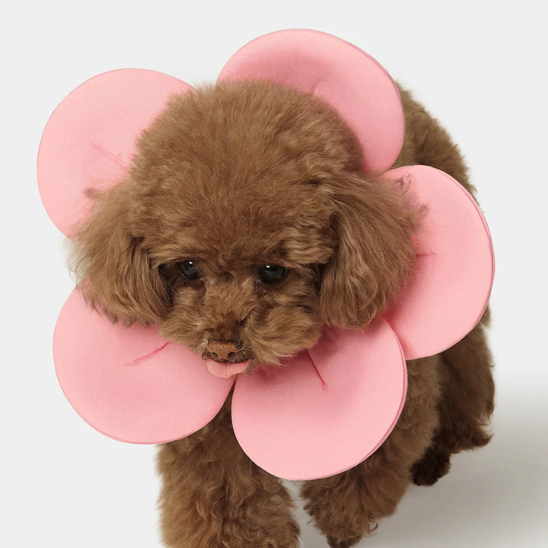 Flora Pet Bib