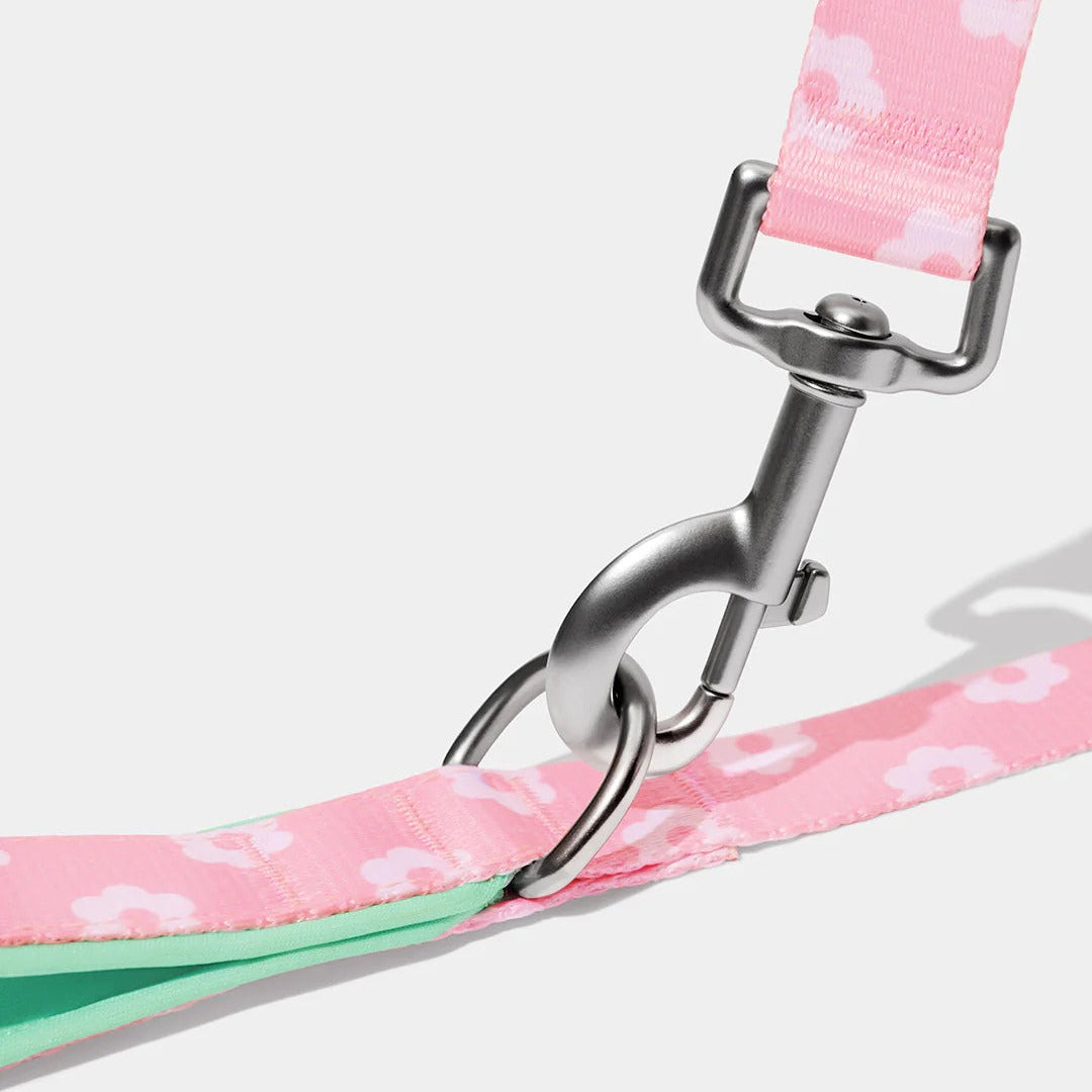 Flora Pet Harness & Leash Set
