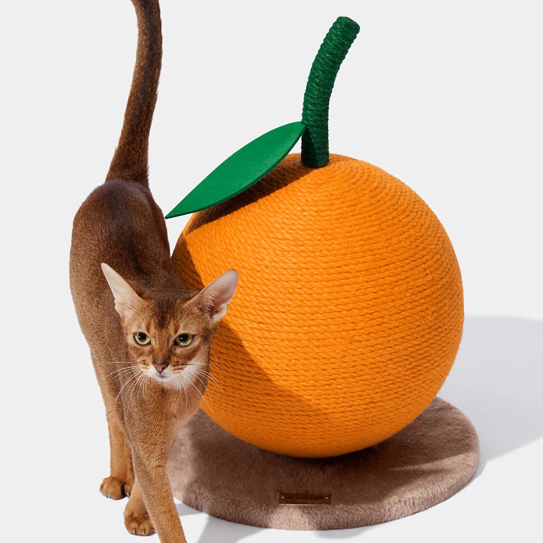 Tangerine Cat Scratching Ball