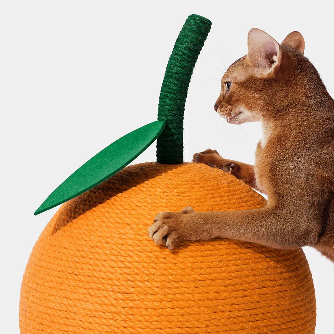 Tangerine Cat Scratching Ball