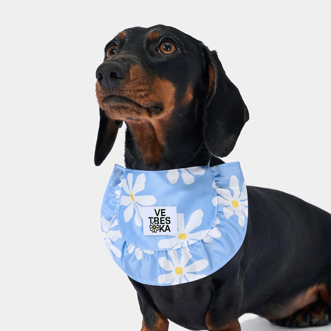 Daisy Pet Bib