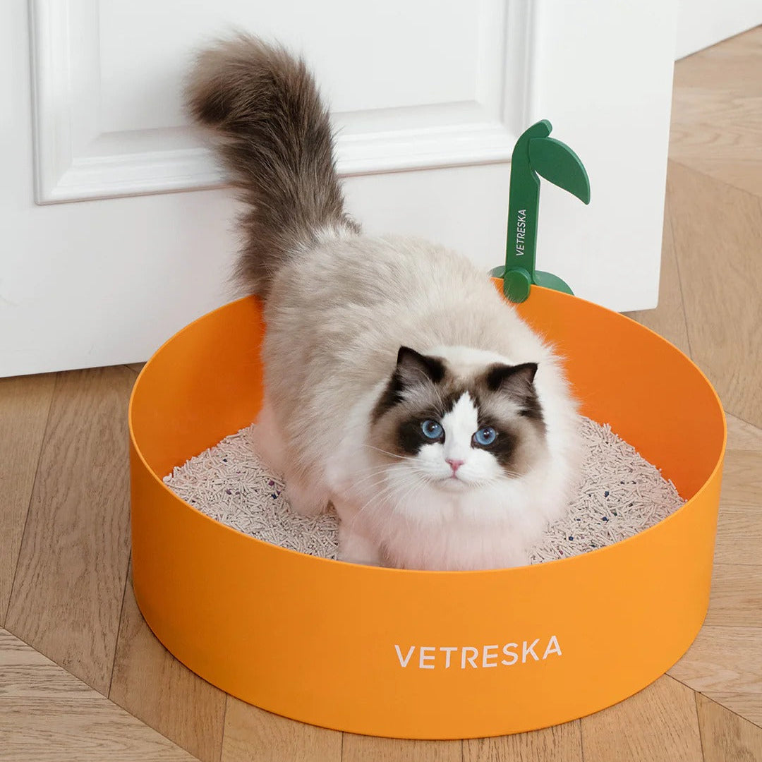 Tangerine Cat Litter Box