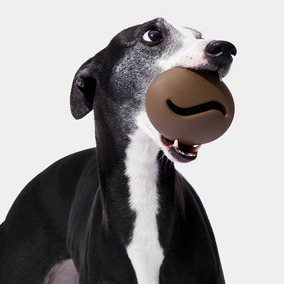 Coffee Pet Feeder Toy