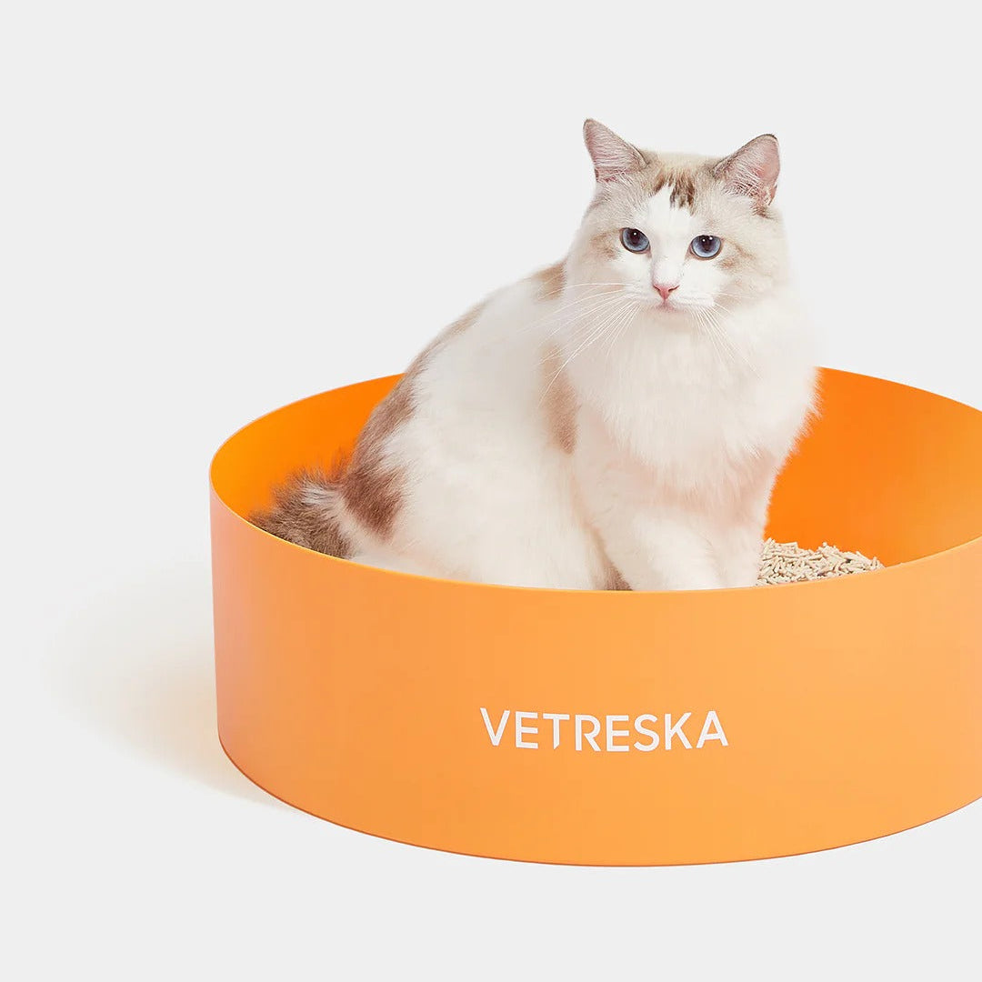 Tangerine Cat Litter Box