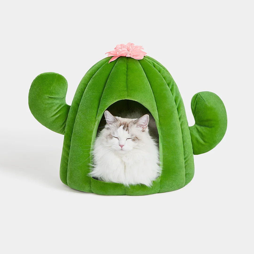 Oasis Cactus Pet Bed