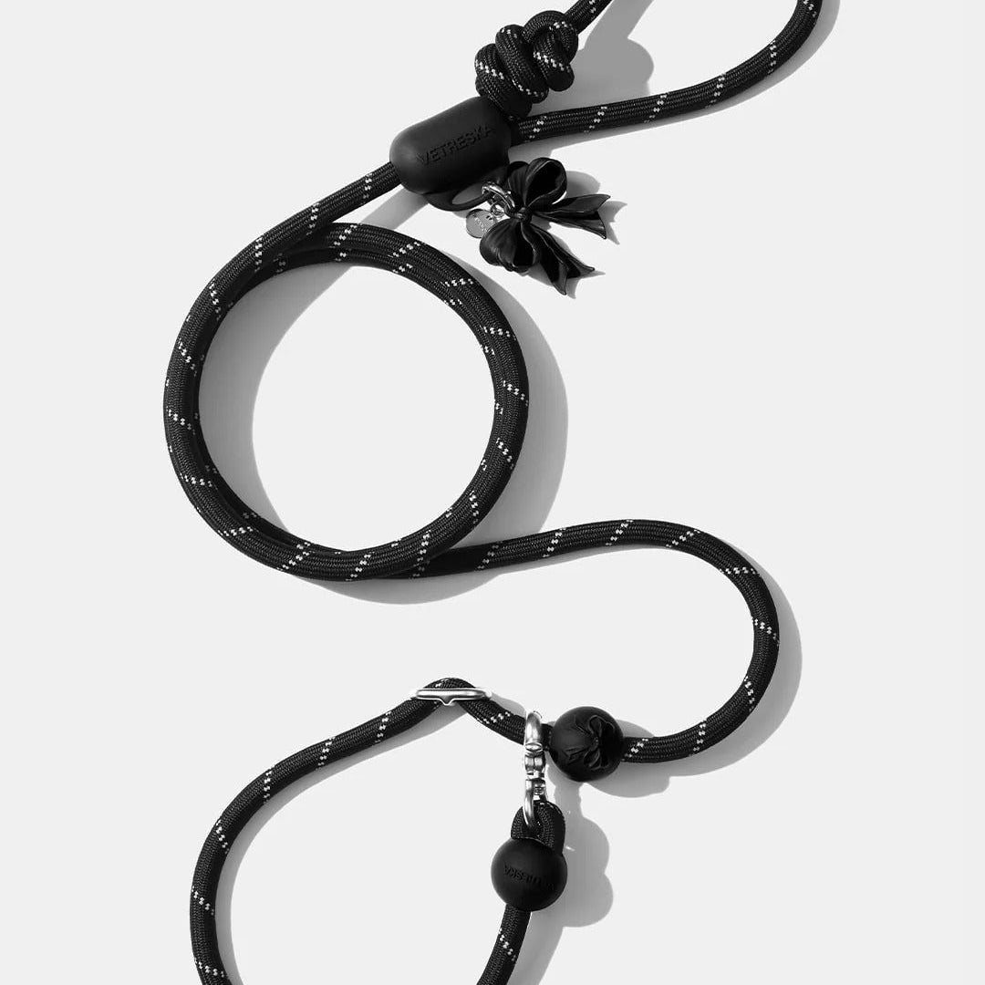 Connect Multifunction Hands-Free Rope Leash For Pets