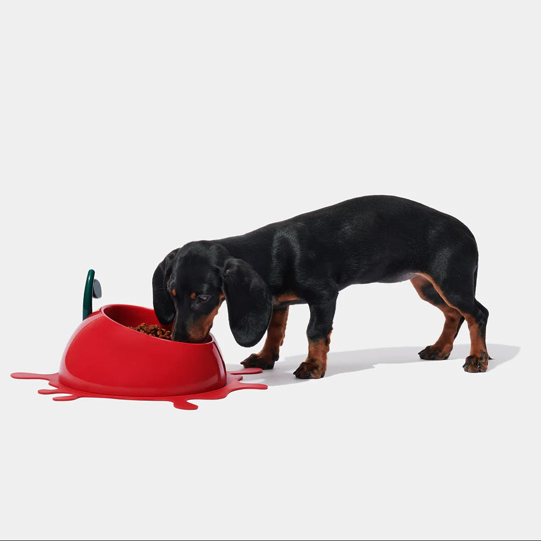 Juicy Cherry Pet Bowl Spoon & Mat Set