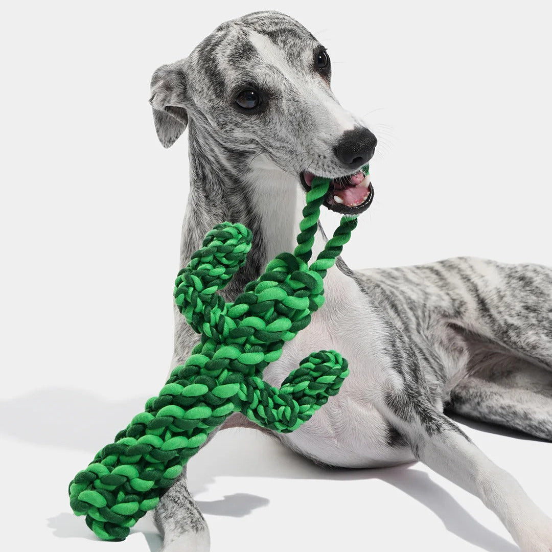 Oasis Cactus Knot Rope Toy