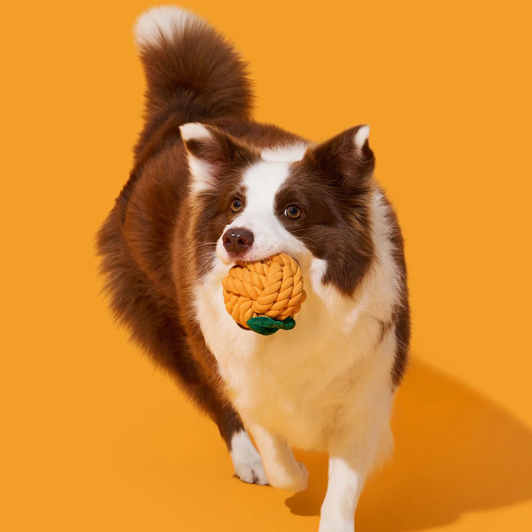 Tangerine Knot Rope Toy