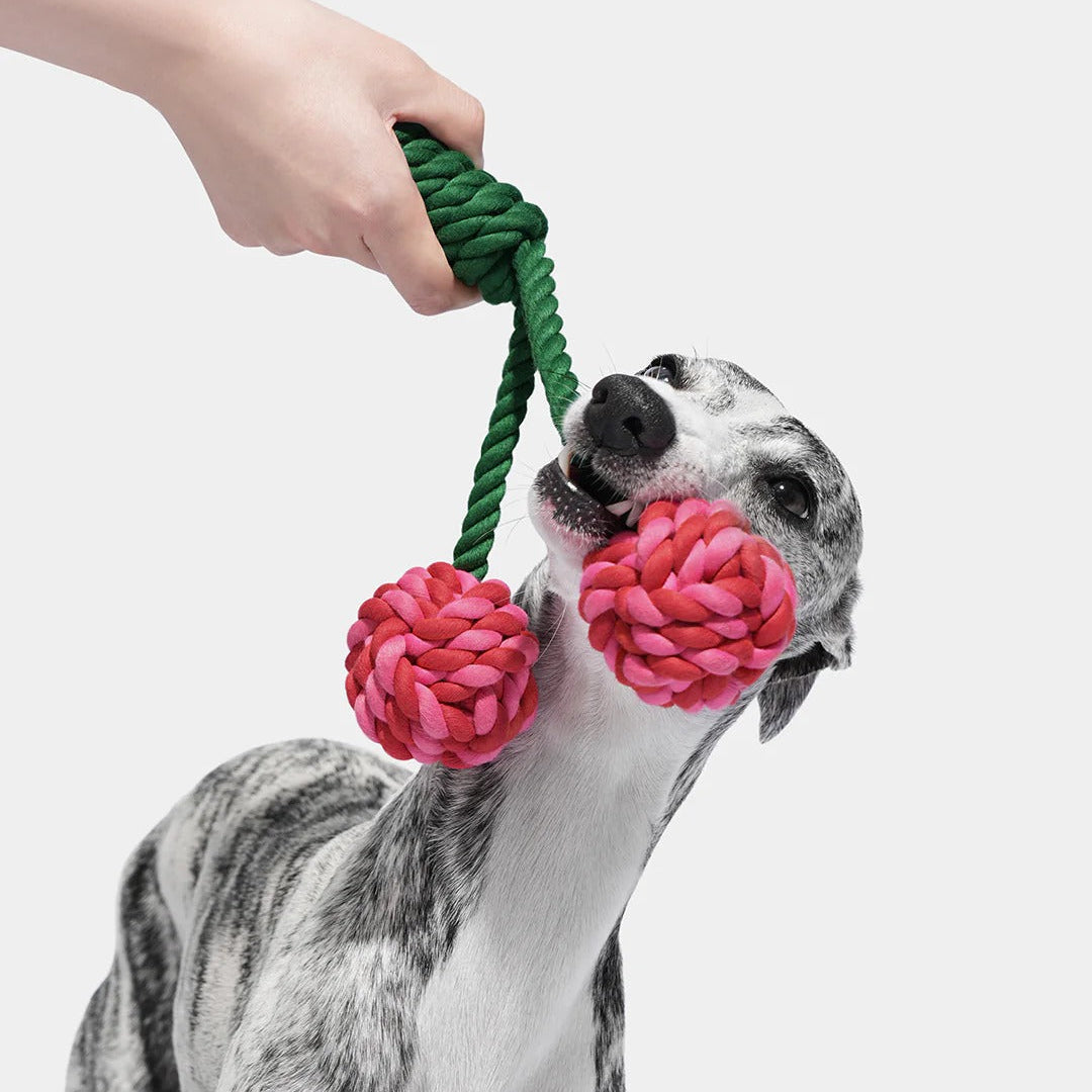Cherry Knot Rope Toy