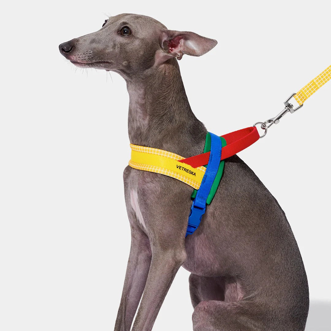 Chroma Pet Harness & Leash Set (Yellow)