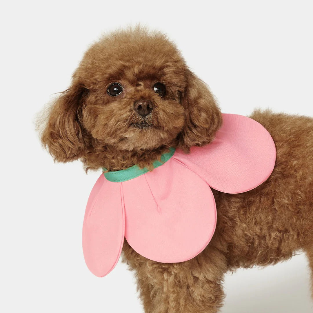 Flora Pet Bib