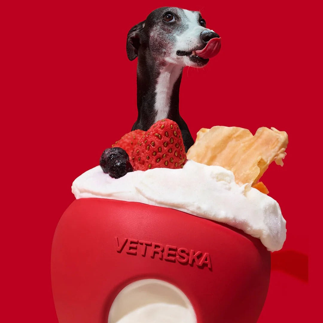 Strawberry Pet Treat Dispensing Toy