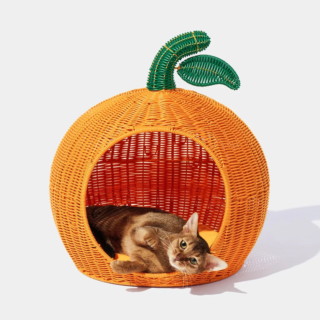Tangerine Rattan Pet Bed