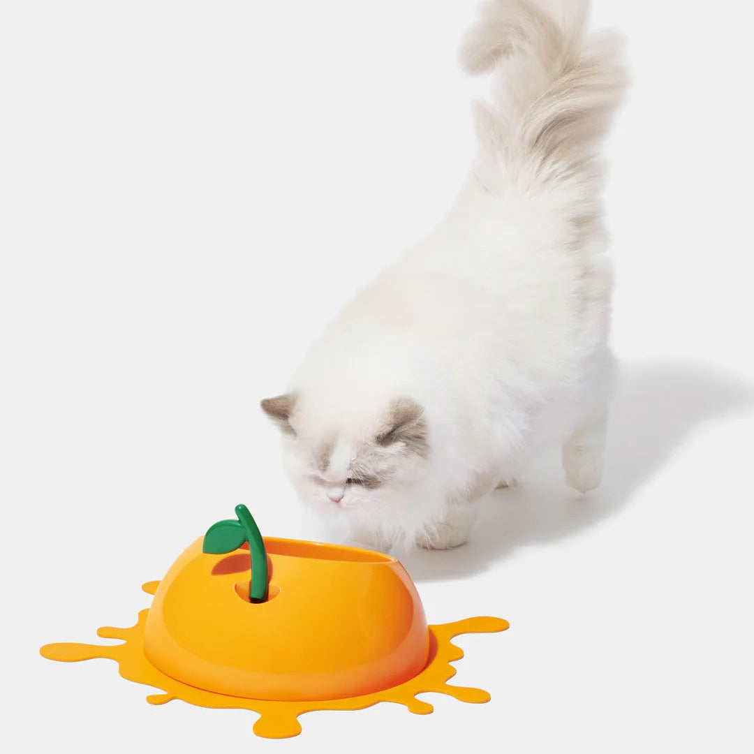 Juicy Tangerine Pet Bowl Spoon & Mat Set