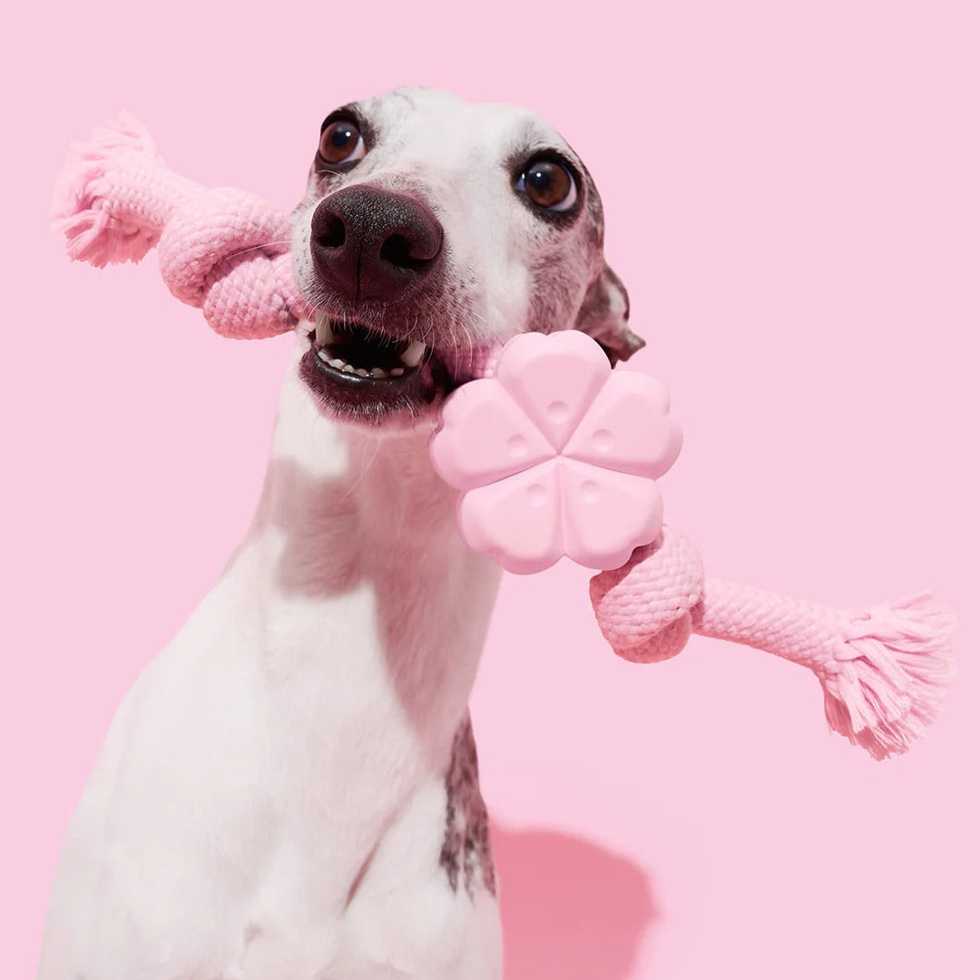 Playful Charm Knot Rope Toy
