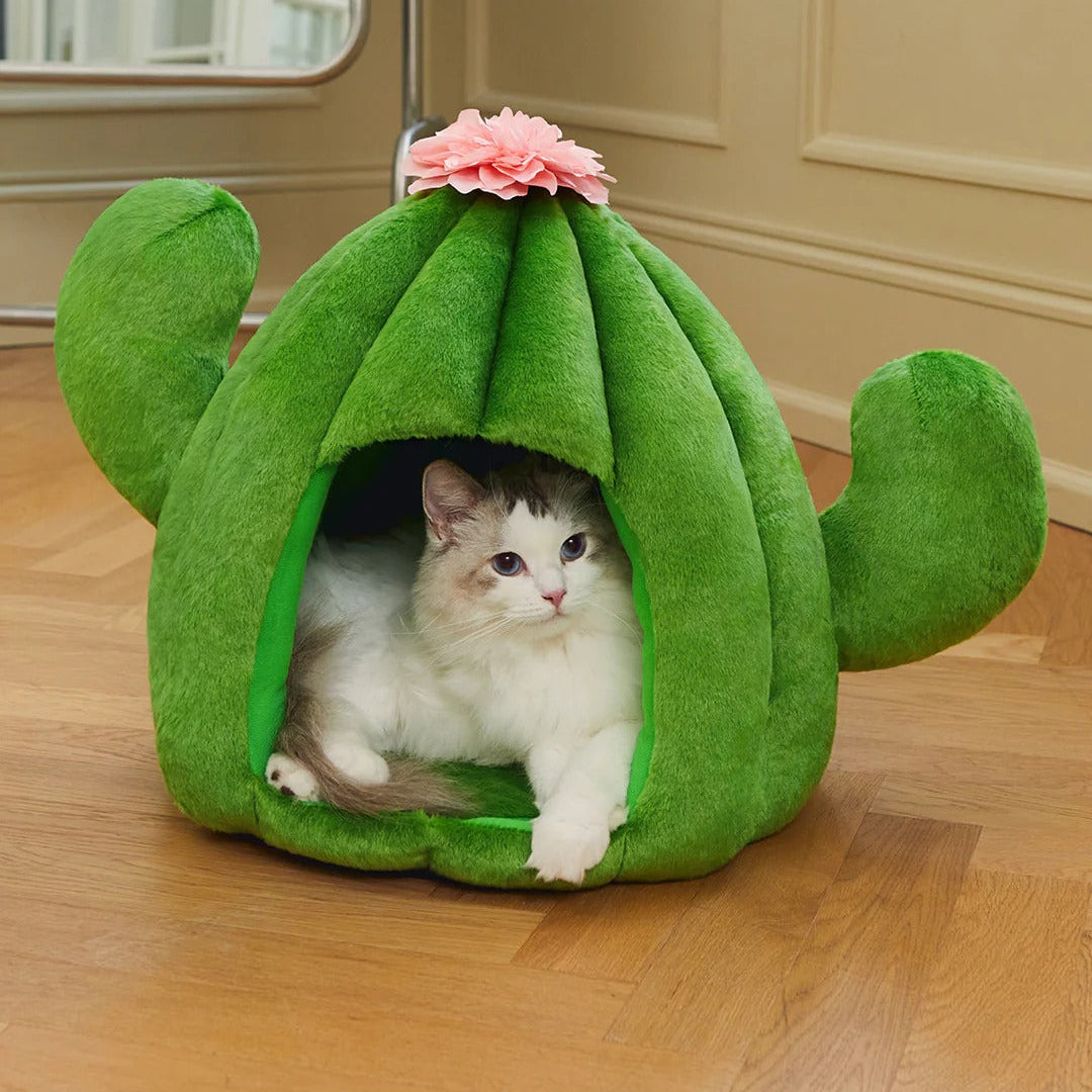 Oasis Cactus Pet Bed